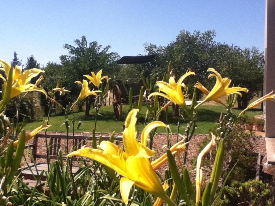 Hotel Solar Del Pago San Antonio de Areco Esterno foto